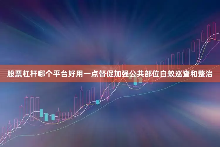 股票杠杆哪个平台好用一点督促加强公共部位白蚁巡查和整治