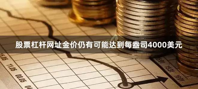 股票杠杆网址金价仍有可能达到每盎司4000美元