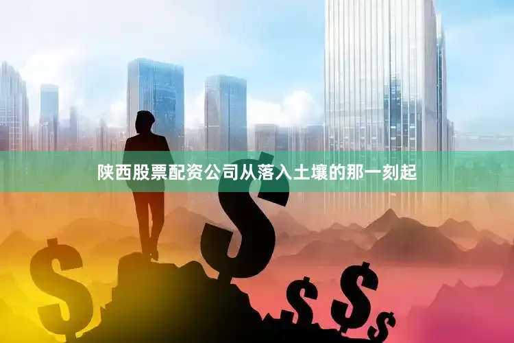 陕西股票配资公司从落入土壤的那一刻起