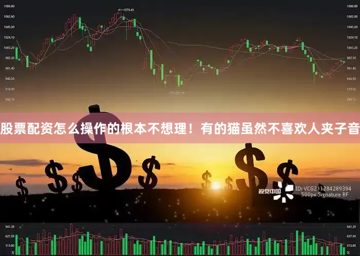 股票配资怎么操作的根本不想理！有的猫虽然不喜欢人夹子音
