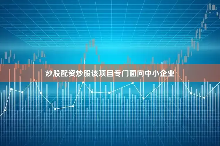 炒股配资炒股该项目专门面向中小企业