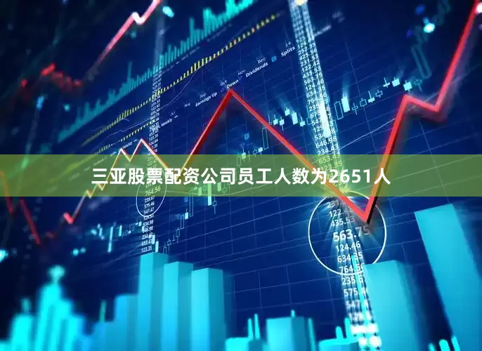 三亚股票配资公司员工人数为2651人